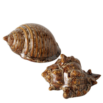 Boltze conchiglia decorativa per la casa in ceramica 10x5 cm