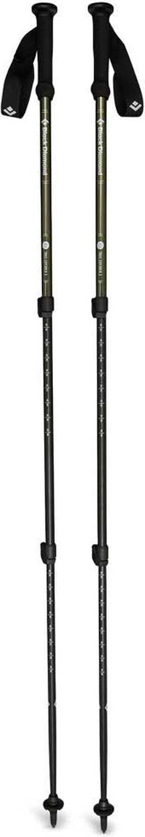 Bastoncini da trekking Black Diamond Explorer 3 - leggeri e regolabili