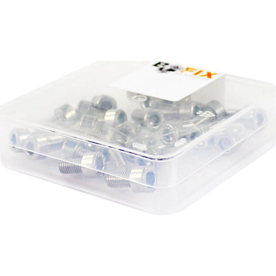 Bofix bout inbus m4x10 rvs (p25)
