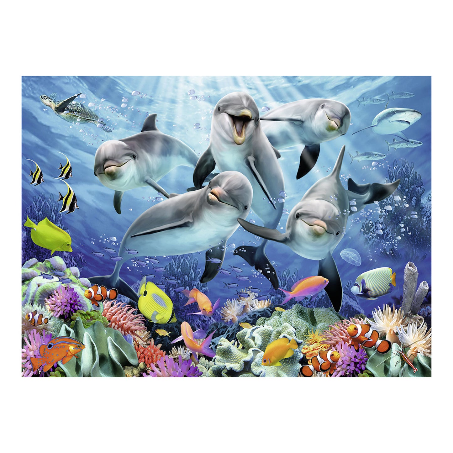 Delfini Ravensburger nella barriera corallina, 500st.