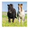 Ravensburger puzzel schattige pony's - 3x49 stukjes - kinderpuzzel