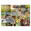 Ravensburger rompecabezas lindos animales de bebé, 200st. Xxl