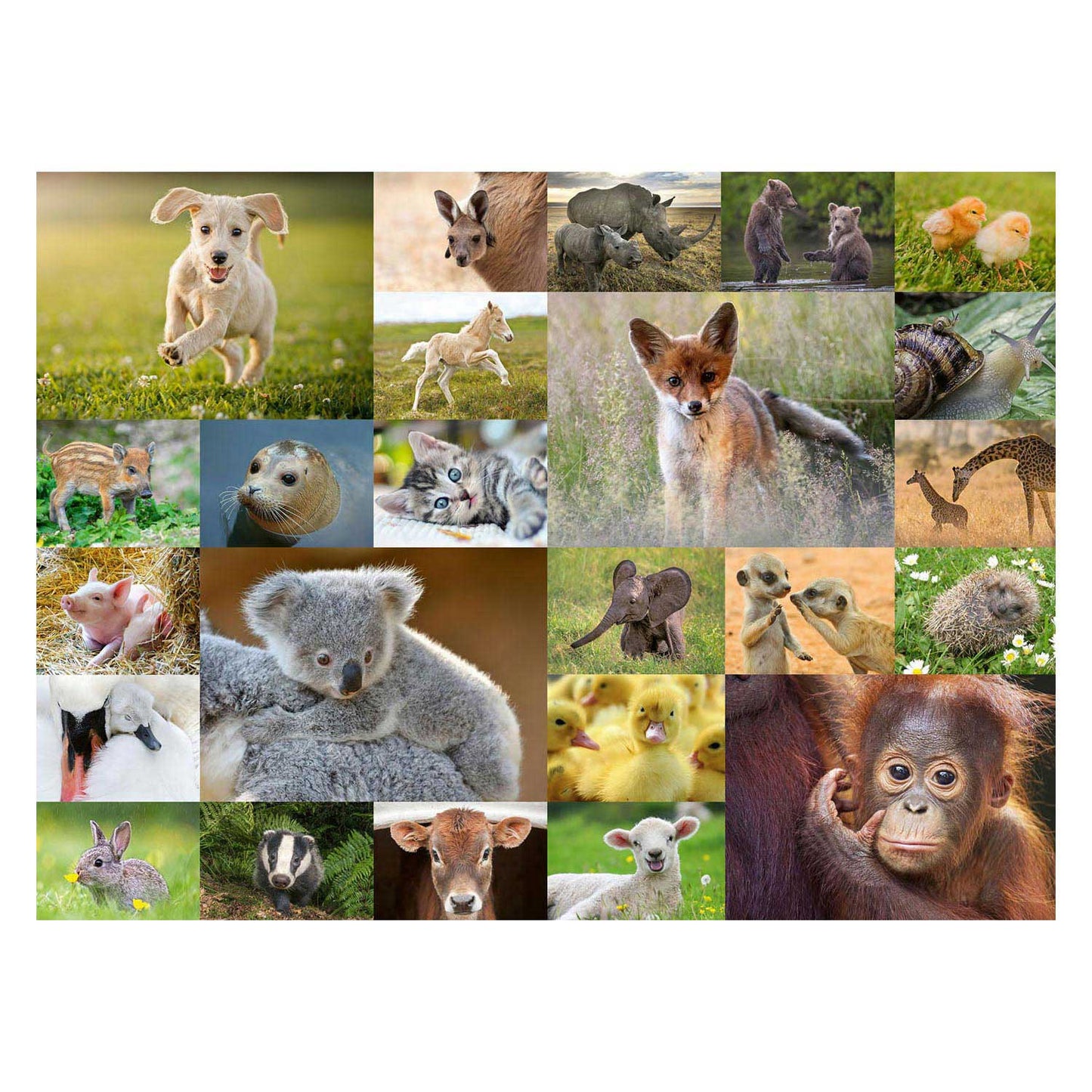 Ravensburger puzzel babydieren 200pcs