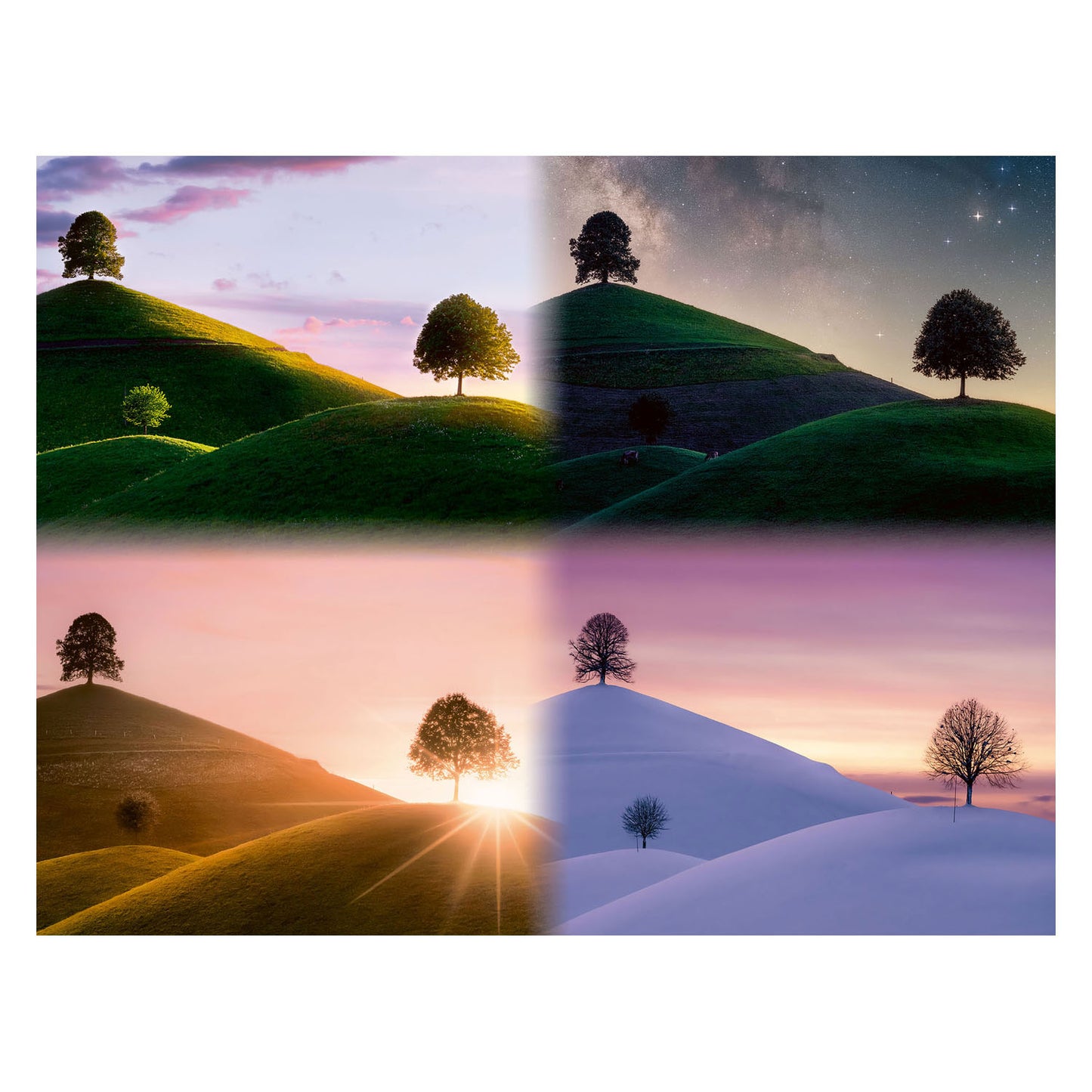 Ravensburger Jigsaw Puzzle Trees y montañas malhumoradas, 2000.