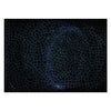 Ravensburger legpuzzel krypt universe glow 881 stukjes glow-in-the-dark.