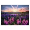 Ravensburger legpuzzel lupinen, 1000st.