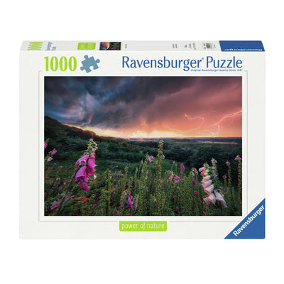 Ravensburger Jigsaw Puzzle Ein Sturm ver AUF, 1000.