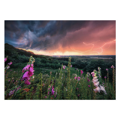 Ravensburger Jigsaw Puzzle Ein Sturm ver AUF, 1000.