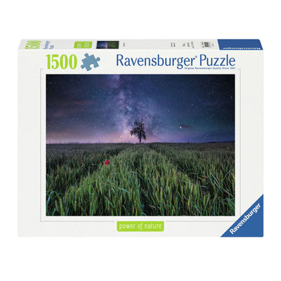 Ravensburger Jigsaw Puzzle Night.