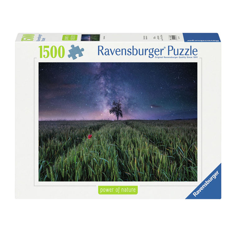 Ravensburger Jigsaw Puzzle Night.