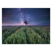 Ravensburger legpuzzel nachthim.uber dem kornfeld, 1500st. - afbeelding 2