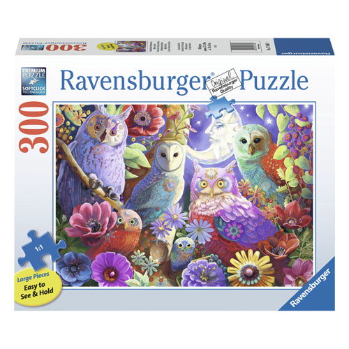 RAVENSBURGER JIGSAW puzzle bellissimi notti da notte, 300st.