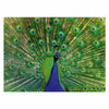 Ravensburger Jigsaw Puzzle Animales coloridos Pauw, 500º.