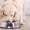 Hoppy Pet Food Bowl Anti -Slip