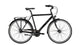 Excelsior Trekking Bike Trekking (#1) Excels. Trekking 28 57 7sp cb nero