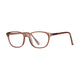 Spectrum Spectrum Reading Glasses Brown trasparente 1.50