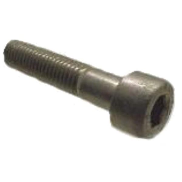 Bofix Allenbout M8 X 40 in acciaio inossidabile per pali dei sedili (12 pezzi)