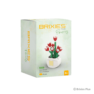 Oku brixies plus flower blossom building blocks