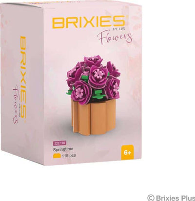 Oku brixies plus flower springtime building blocks