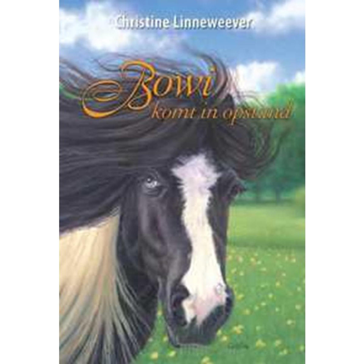 Kluuitman Golden Horses Editor: Bowi es repugnante