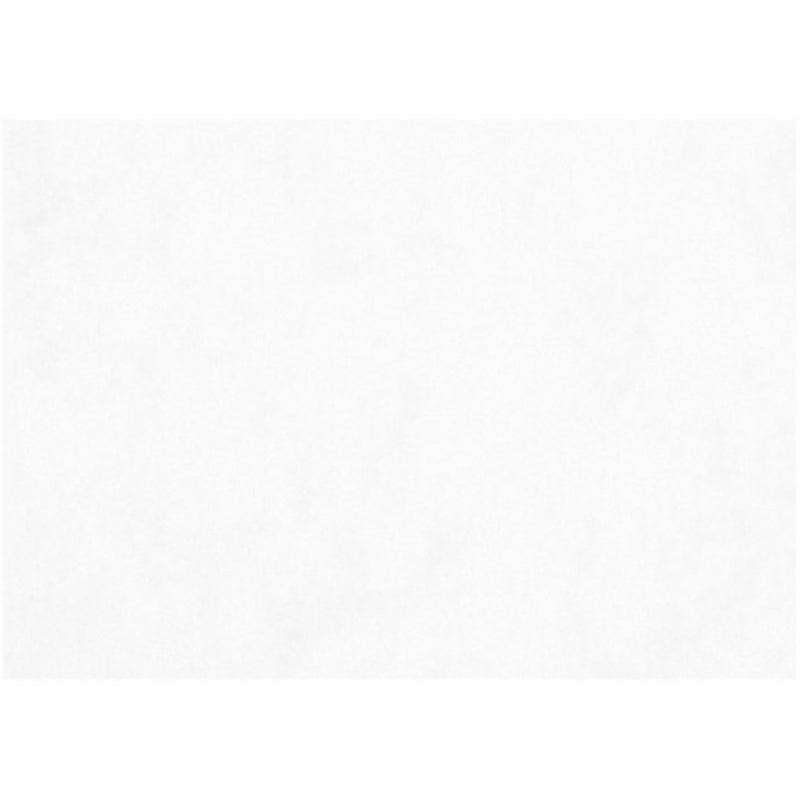 Carta per acquerello, a3, foglio 297x420 mm, 200 gr, bianca, 100 fogli 1 scatola