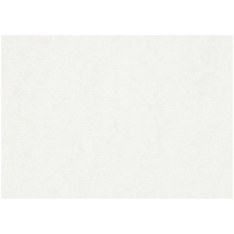 Carta per acquerello, a2, foglio 420x594 mm, 200 gr, bianca, 100 fogli 1 scatola