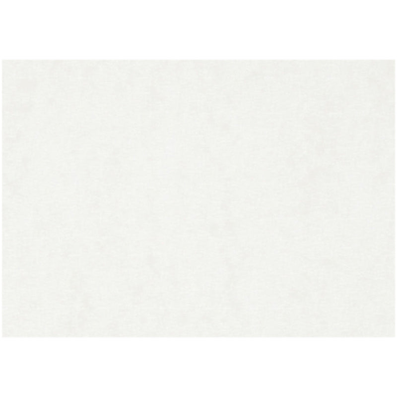 Carta per acquerello, a3, foglio 297x420 mm, 300 gr, bianca, 100 fogli 1 scatola