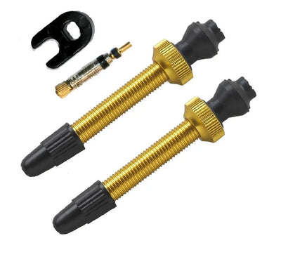 Barbieri tubeless valve aluminium sv 45mm gold 2 pieces