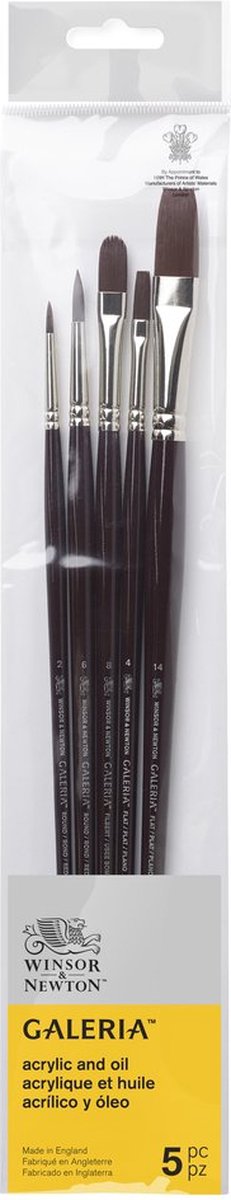 Winsor Newton 5790611 Set di pennelli per acrilico Galeria – 5 pennelli a manico lungo per pittura acrilica (tondo 2, tondo 6, piatto 4, piatto 14, Filbert 8)