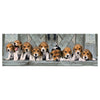 Clementoni Panorama Puzzle Beagles, 1000st.