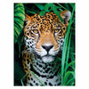 Clementoni Puzzle Jaguar nella giungla, 500st.