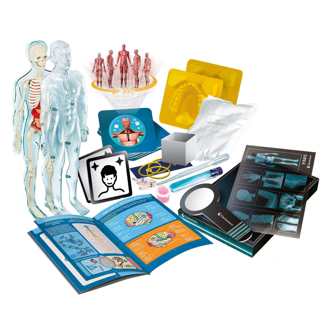 Clementoni Science and Game Super Anatomy