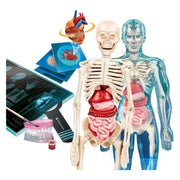 Clementoni Science and Game Super Anatomy - afbeelding 4