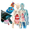 Clementoni Science and Game Super Anatomy