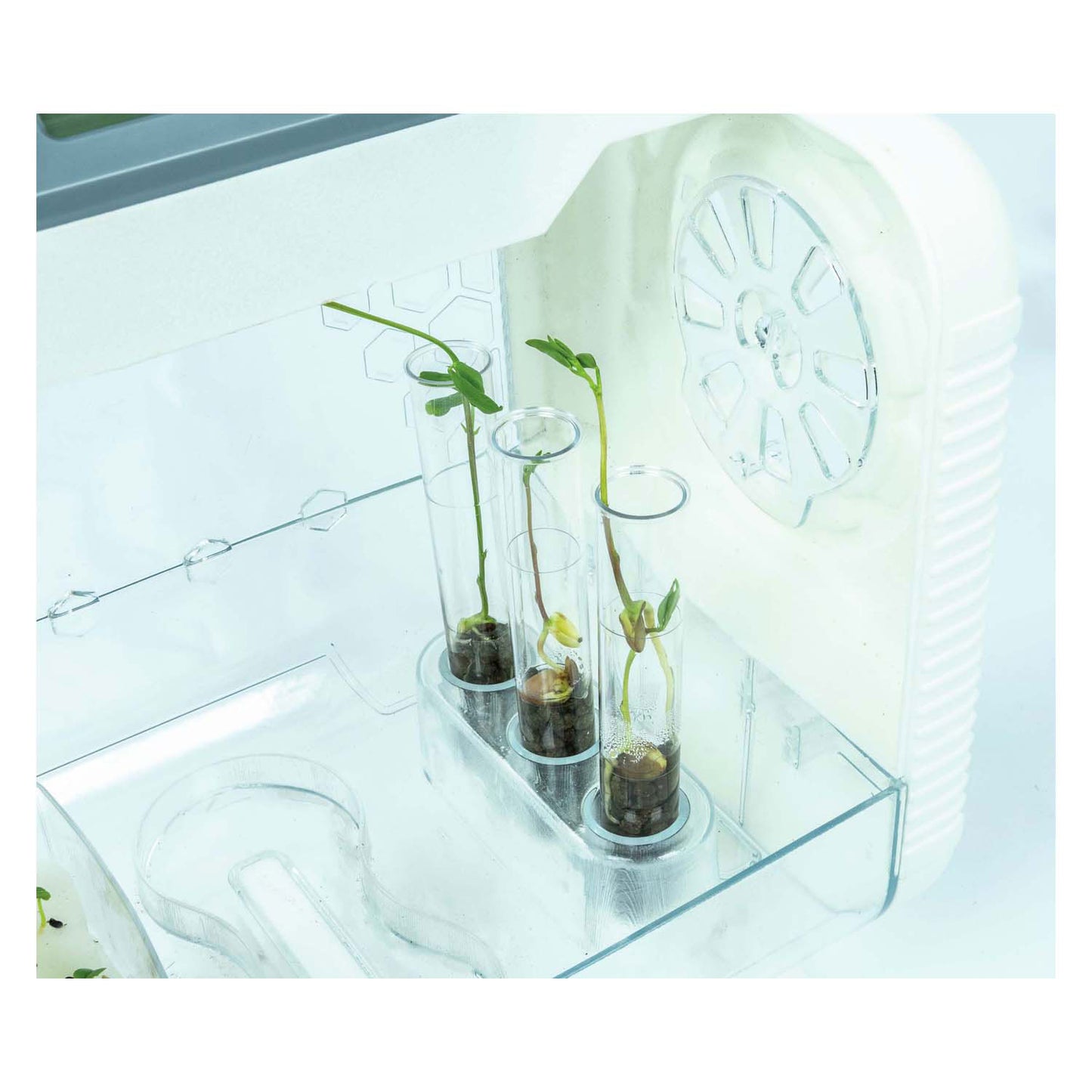 Clementoni Science and Game - My Hi -tech Kwekekkas Experimension Set