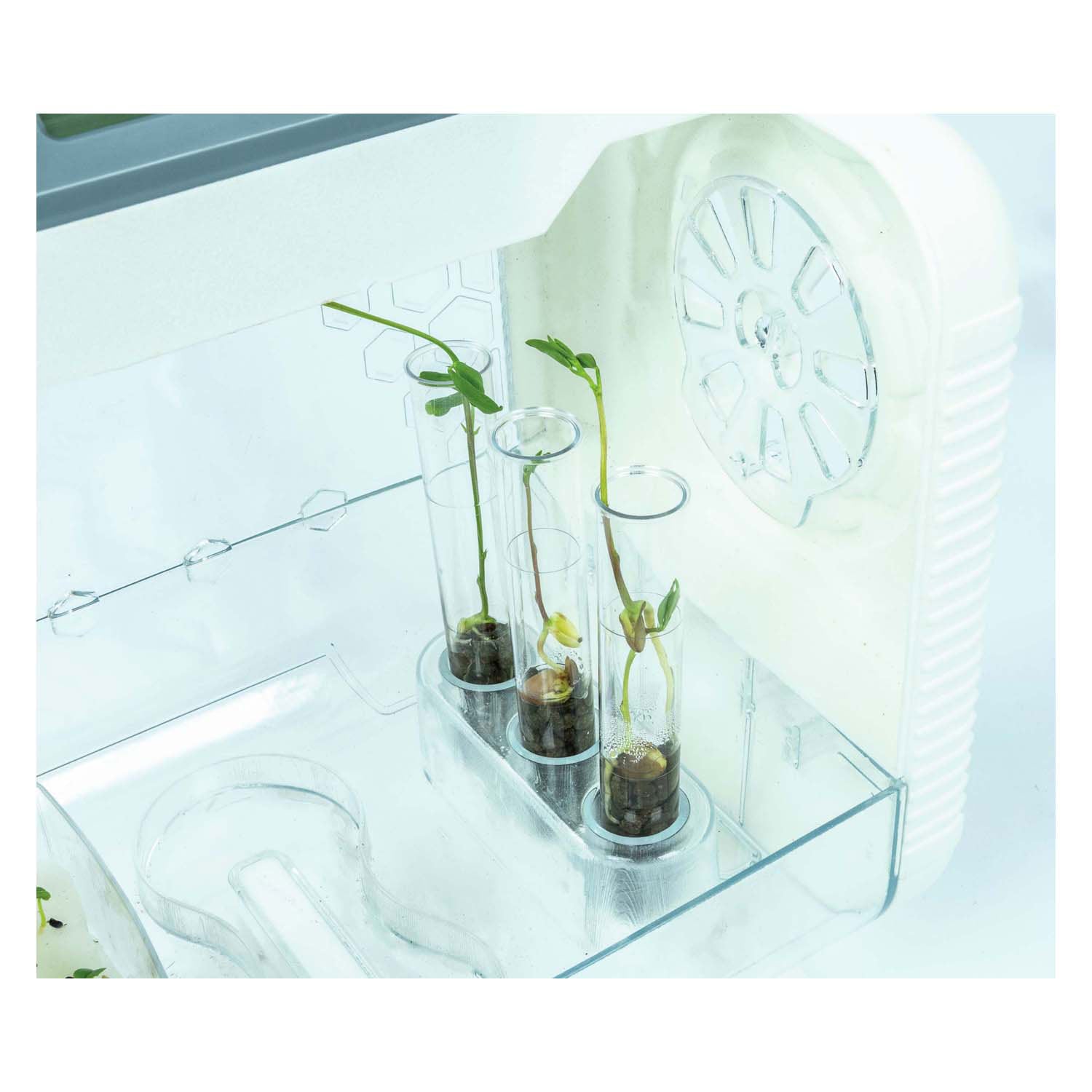 Clementoni Science and Game - My Hi -tech Kwekekkas Experimension Set