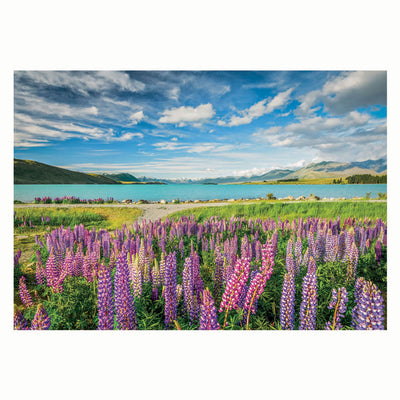 Rompecabezas Clementoni Flores en el lago Tekapo, 1500º.