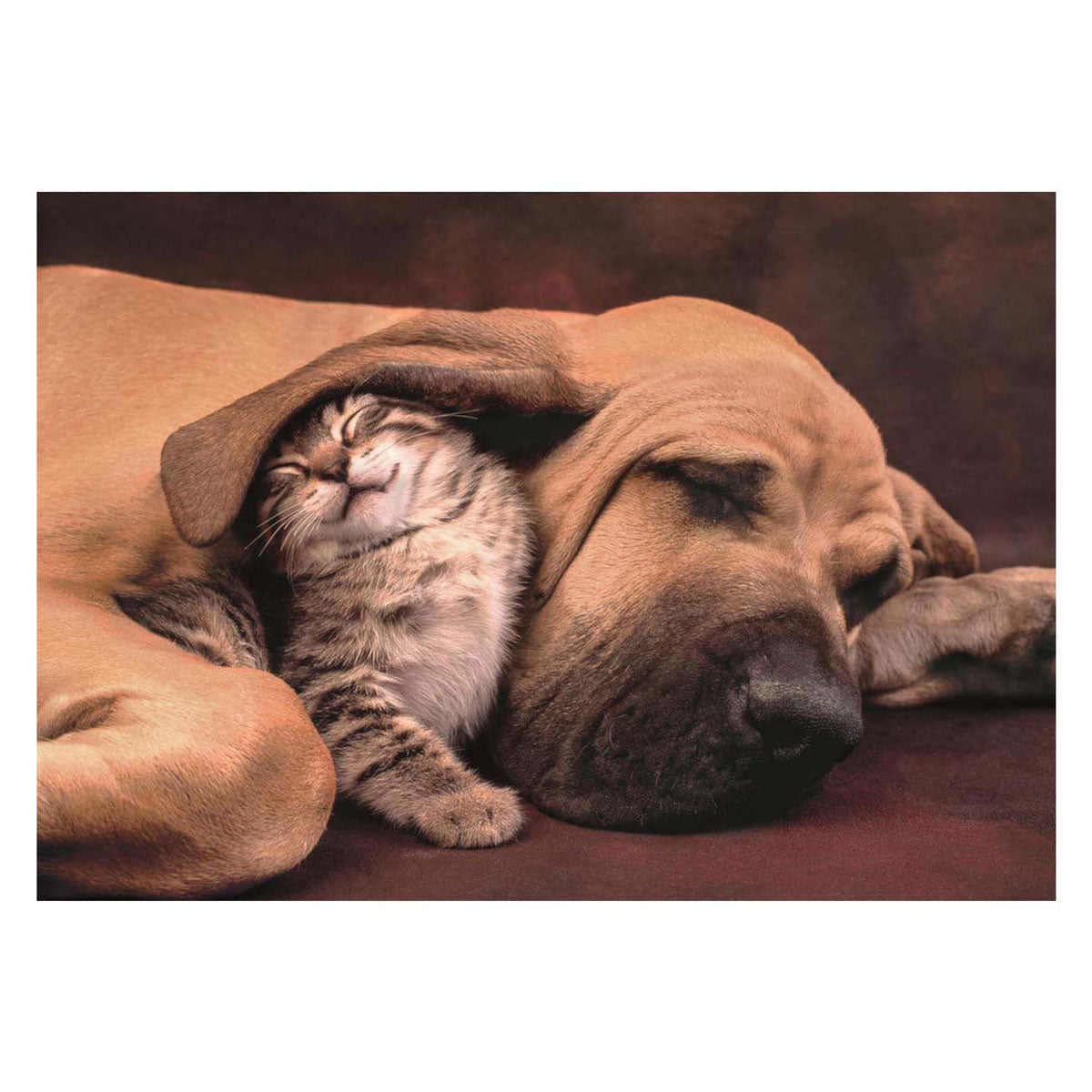 Clementoni Jigsaw Puzzle Dog and Cat, 500st.