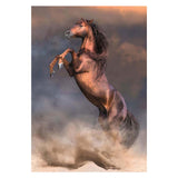 Clementoni legpuzzel wild red stallion, 500st. - afbeelding 2