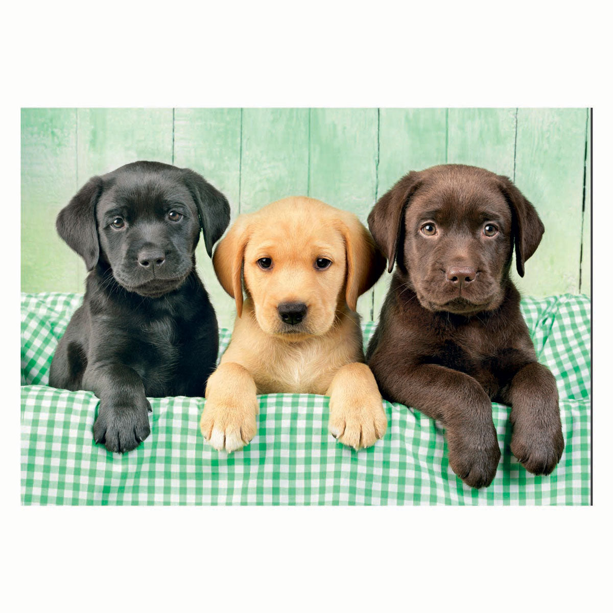 Clementoni Jigsaw Puzzle Three Labs, 1000st.