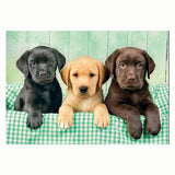 Clementoni Jigsaw Puzzle Three Labs, 1000st. - afbeelding 2
