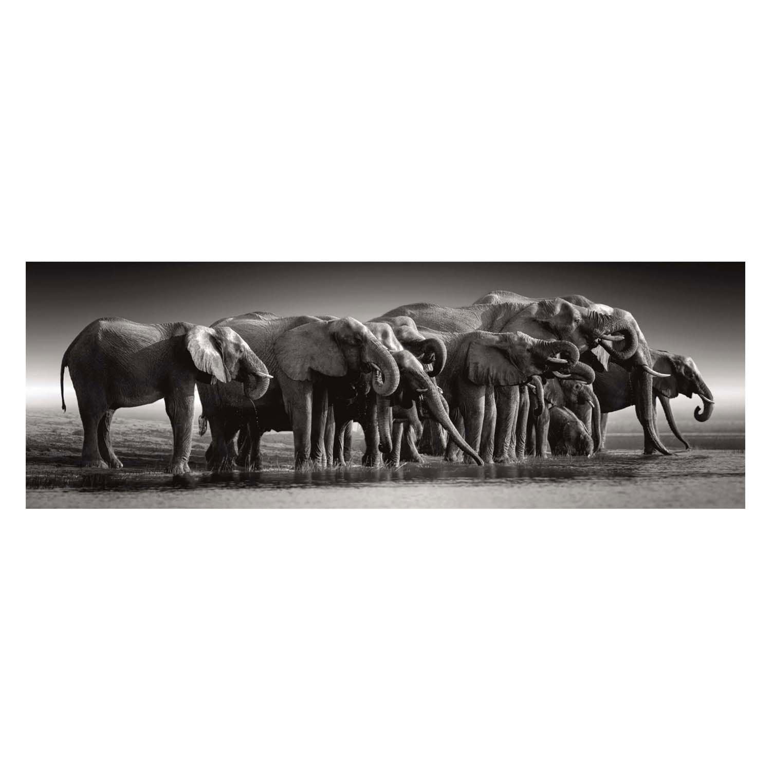Clementoni Jigsaw Puzzle Herd o Giants, 1000st.