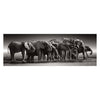 Clementoni Jigsaw Puzzle Herd o Giants, 1000st.