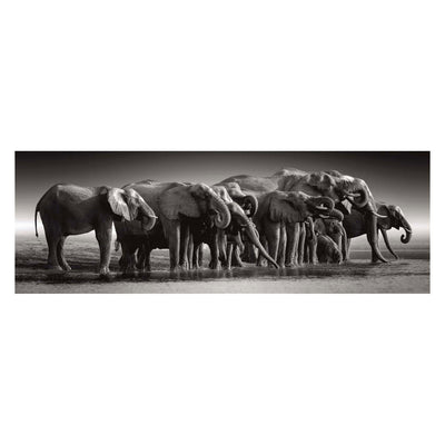 Herd o gigantes de rompecabezas de Clementoni, 1000.