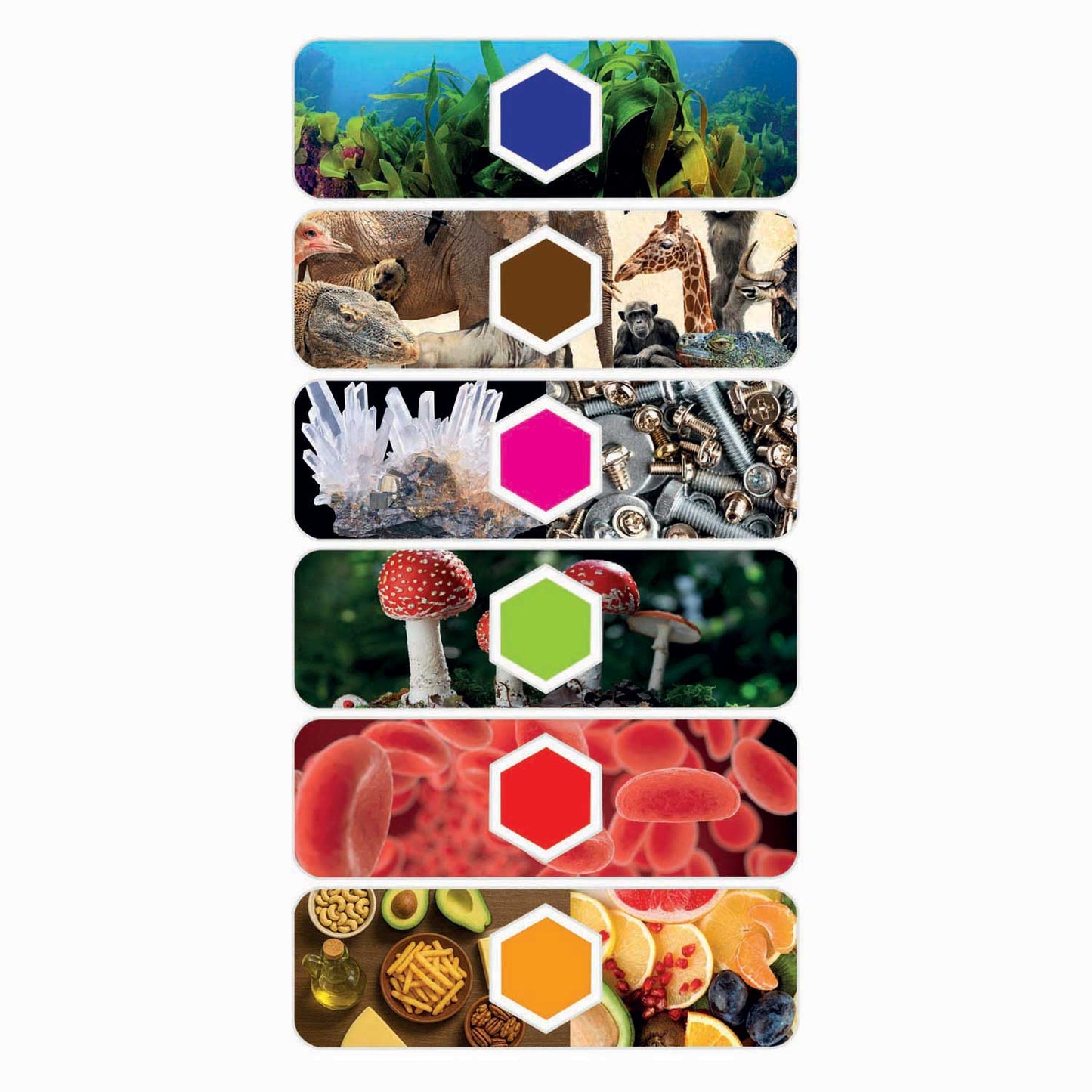 Clementoni science game microscope smart