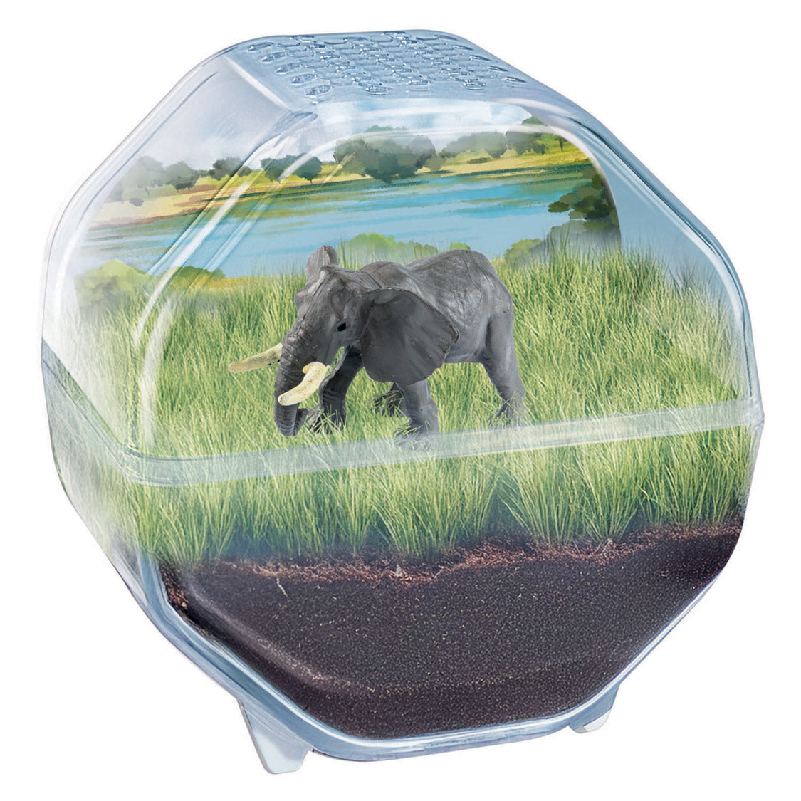 Gioco scientifico Clementoni il mio terrario selvaggio - elefante