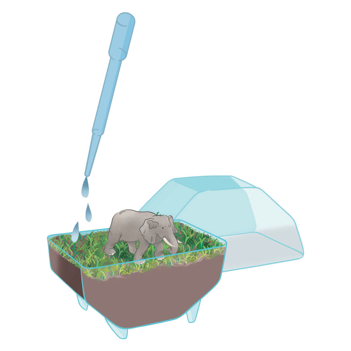 Gioco scientifico Clementoni il mio terrario selvaggio - elefante