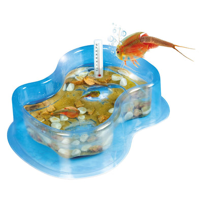 Il gioco scientifico Clementoni fa crescere i tuoi triops