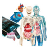 Clementoni wetenschap en spel - super anatomie