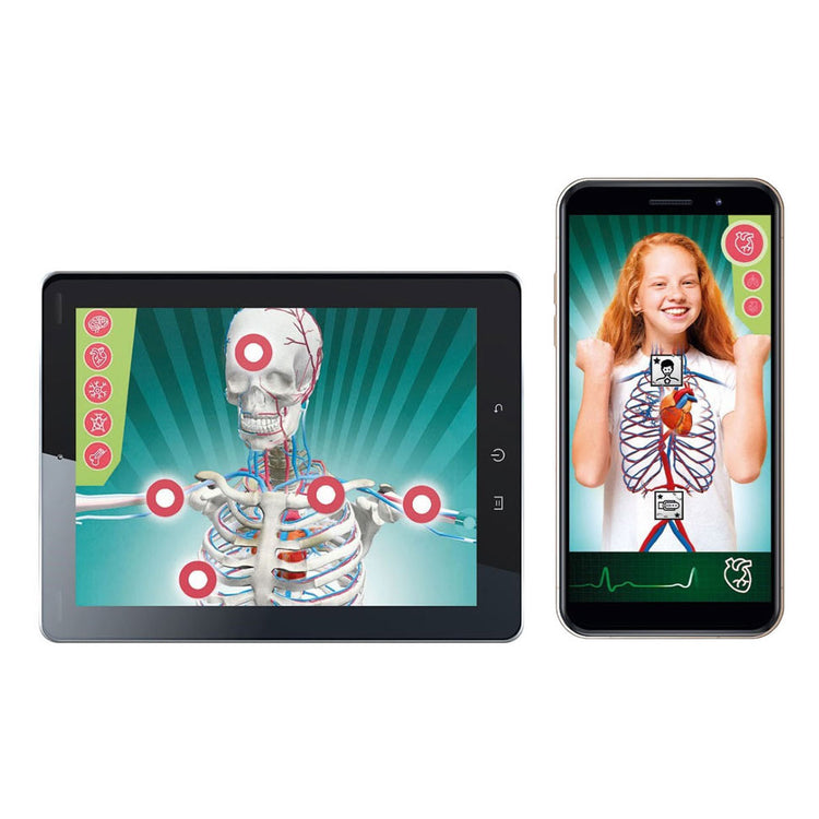 Scienza e gioco Clementoni - super anatomia